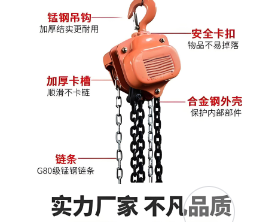 卓力生产倒链支持定制 卓力生产倒链支持定制